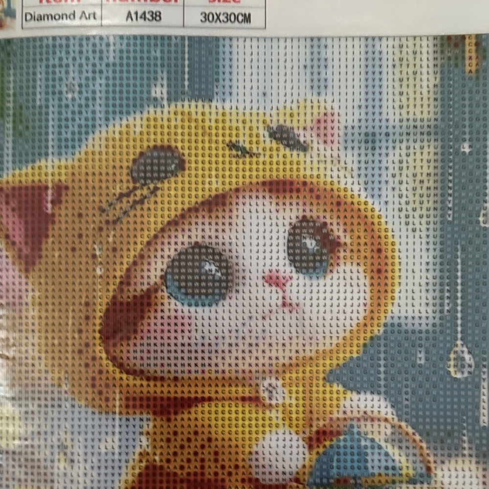Host Support Diamond Art Kit.  Pretty Kitty in Hoodie.